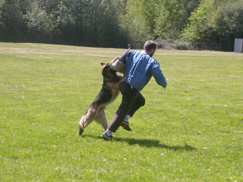 Interception de la fuite