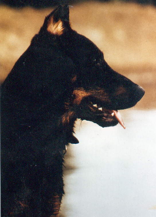 Praxi du Ru d'Oly